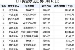 资金榜金：净流入万元，居可比基金首位