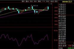 重庆啤酒的股票代码是多少