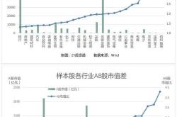 股票溢价：定义、原因和影响