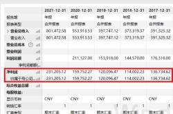 晶澳科技：月日召开业绩说明会，摩根大通诺安基金等多家机构参与