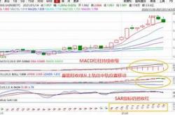 易基新常态基金净值:001184查询