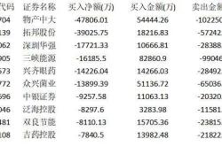 金力磁王股票分析与投资建议