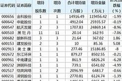 申能集团财务总监