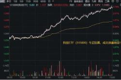 美银：条条大路通英伟达交易掀热潮科技股基金流入资金创纪录