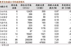 基金持仓中持仓市值公式