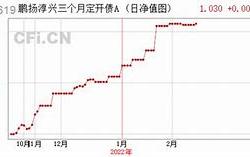 关于兴银长盈定开债基金分红的通知