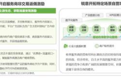 非银跨境支付行业年度专题报告：零售集团和电商出海加速