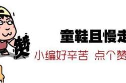 传宗馥莉提出从娃哈哈离职，这是被排挤还是谈判手段？晓姐姐讲故事