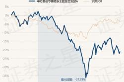 申万菱信价值精选混合