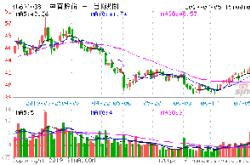 哈飞集团股票