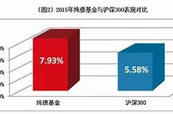 安瑞短债基金经理