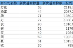 如何查询基金的份额