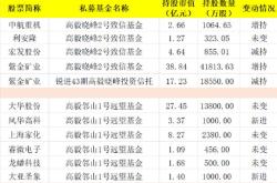 正心谷资本持仓股票分析