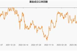 南方宝顺基金净值查询