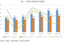 股票中什么叫做风险股