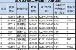 我国股票基金的分类