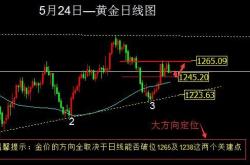 基金010137今日净值