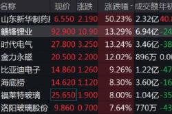 赣电集团上市