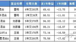 基金重点参与人