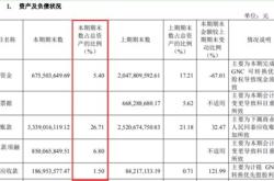 一只股票有多少股数