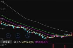 黄金公司股票投资指南