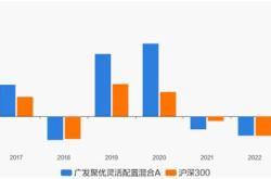 基金灵活配置什么意思