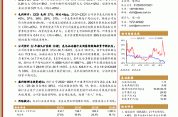 盛航股票（股票代码：001205）分析与建议