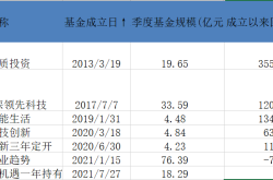 基金回报率排名及相关解读