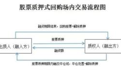 什么是质押性股票基金