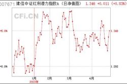 买了红利指数基金有风险吗