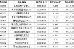 申请国字号公司条件