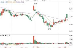 新纶科技公司最新消息