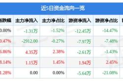 中路b股5月15日盘中涨幅达5%