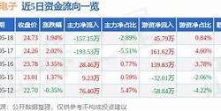 水井坊股票主力资金净买入情况分析