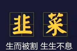 单日进账2000万!无脑爽剧流量赚翻了,网友:小心"奸商"割韭菜