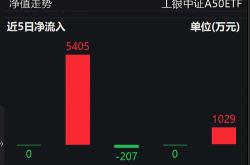 富达投资集团巨额资金净流入市场信心与投资策略的体现