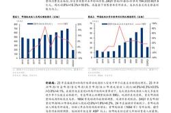 加加食品减盐大单品的持续推进与一季度营收增长分析