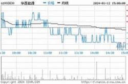 华西能源月日主力资金净买入万元市场信心与未来展望