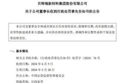 贝特瑞董事长贺雪琴因内幕交易被罚，总年薪超过董明珠事件分析