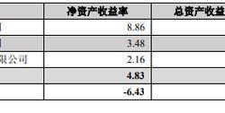 鲁银投资业绩