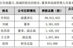 禾盛新材股东减持计划分析