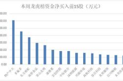 中国人保的两大股东是谁?各占股多少?