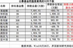 基金持仓动向：富国基金许炎二季度加仓这些股（名单）