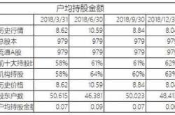 股份有限公司的股东人数为多少