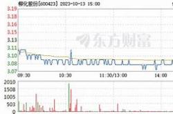 柳化股份分析