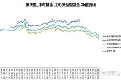 中欧瑾添混合基金经理变动：彭震威不再担任该基金基金经理