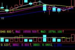 金螳螂股票分析