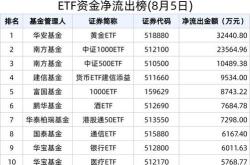 融资榜恒生科技指数融资净买入万元，居全市场第一梯队