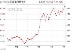 汇添富基金吴江宏旗下汇添富可转债中报最新持仓，重仓宁德时代