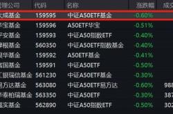 资金榜中证基金：净流入亿元，居可比基金前二